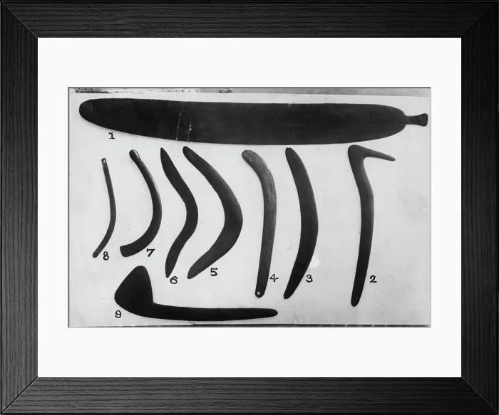 Framed Print : Aboriginal Weapons - Boomerangs Framed Print : Aboriginal Weapons - Boomerangs