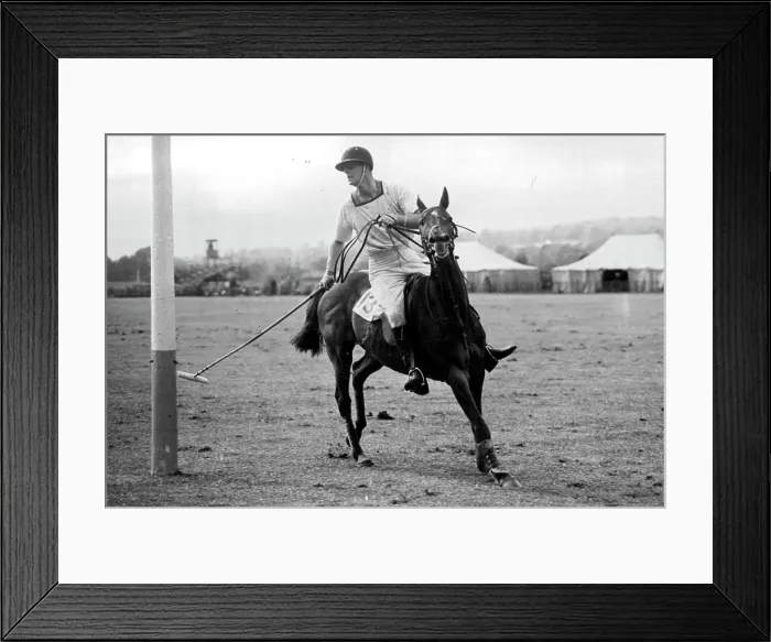 Framed Print : A Royal Polo Enthusiast -- H.R Framed Print : A Royal Polo Enthusiast -- H.R