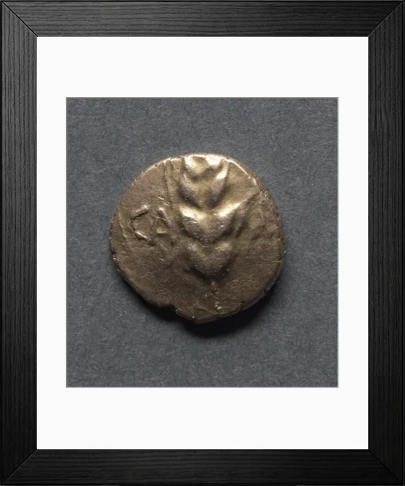 Framed Print : Cunobeline Quarter Stater: Corn (obverse) Framed Print : Cunobeline Quarter Stater: Corn (obverse)