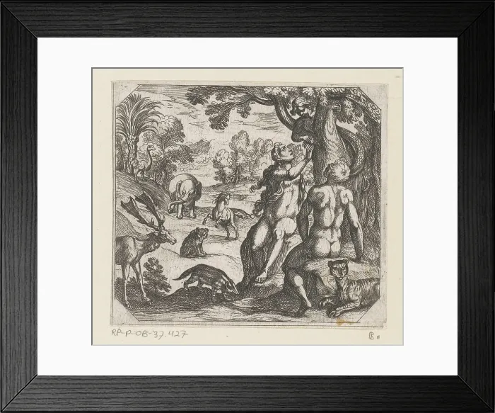 Framed Print : The temptation of EVA; The creation Framed Print : The temptation of EVA; The creation