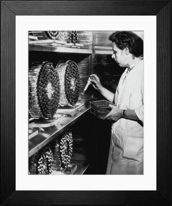 Framed Print : Virus Farm Polio Vaccine -- Miss Elsie N