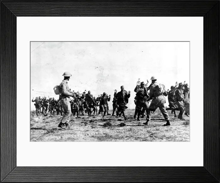Framed Print : Italians Surrender to British in Tunisia Framed Print : Italians Surrender to British in Tunisia