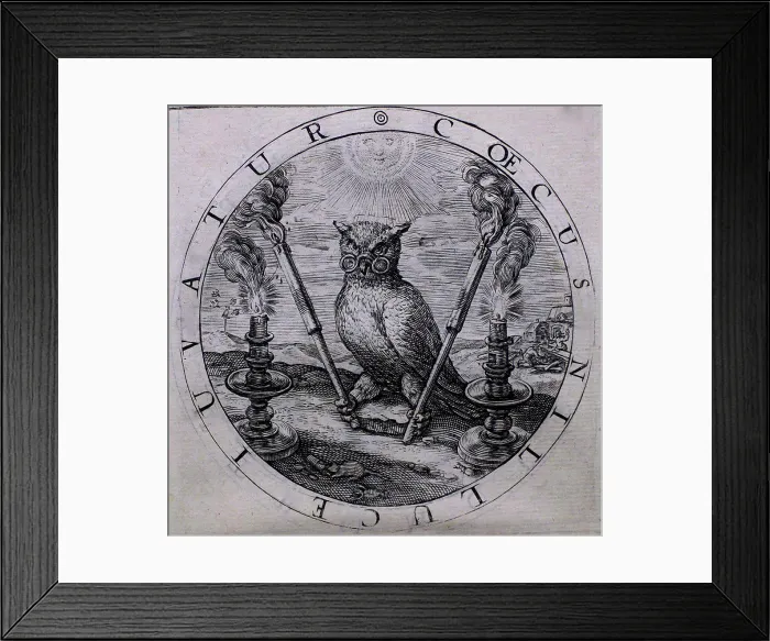 Framed Print : The owl as a symbol of blind opinion; an etching in George Wither's A Collection of Emblemes Framed Print : The owl as a symbol of blind opinion; an etching in George Wither's A Collection of Emblemes