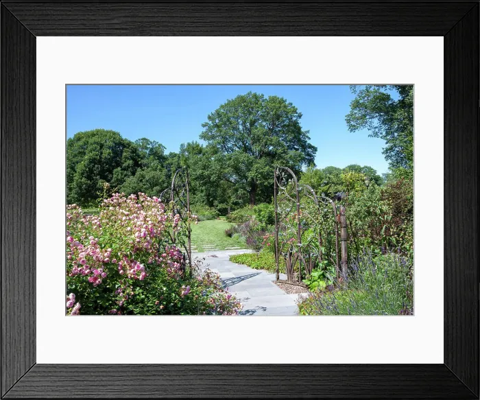 Framed Print : Entrance, Dean Bond Rose Garden, Scott Arboretum, Swarthmore College, Swarthmore, Pennsylvania, USA