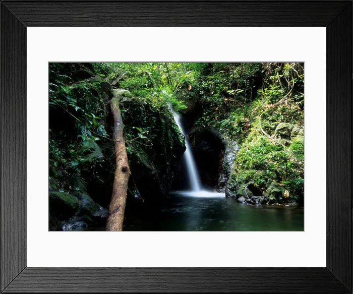 Framed Print : BELIZE, NEAR DANGRIGA, COCKSCOMB BASIN WILDLIFE SANCTUARY, RAINFOREST, WATERFALL