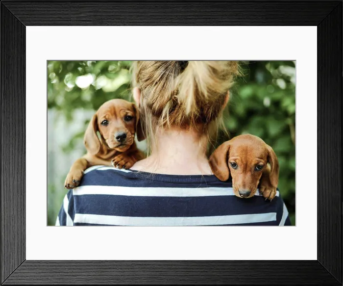 Framed Print : woman with puppys standing outdoors