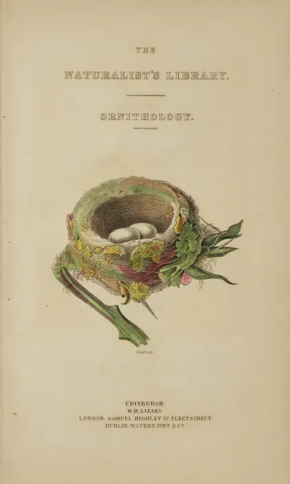 Framed Print : 1835 Antique Art Biology Bird Birds Classification Framed Print : 1835 Antique Art Biology Bird Birds Classification