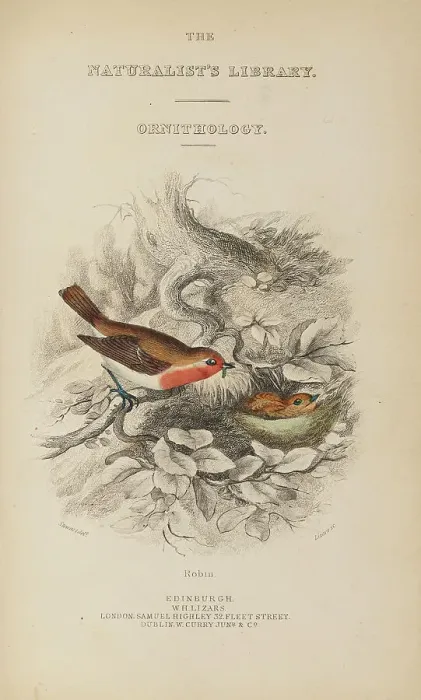 Framed Print : 1835 Antique Art Biology Bird Birds Classification Framed Print : 1835 Antique Art Biology Bird Birds Classification