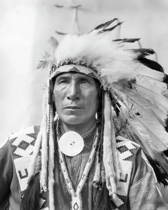 Framed Print : 1920s PORTRAIT NATIVE AMERICAN INDIAN MAN CHIEF SITTING EAGLE IN FULL HEADDRESS STONEY TRIBE OF BANFF ALBERTA CANADA Framed Print : 1920s PORTRAIT NATIVE AMERICAN INDIAN MAN CHIEF SITTING EAGLE IN FULL HEADDRESS STONEY TRIBE OF BANFF ALBERTA CANADA