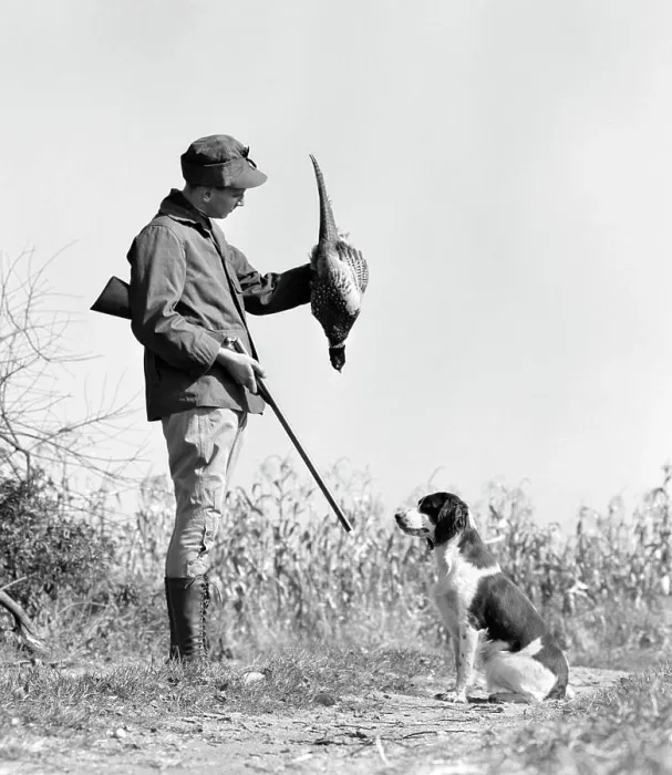 Framed Print : 1940s YOUNG MAN HUNTER WITH SHOTGUN AND HUNTING DOG HOLDING BIRD PHEASANT Framed Print : 1940s YOUNG MAN HUNTER WITH SHOTGUN AND HUNTING DOG HOLDING BIRD PHEASANT
