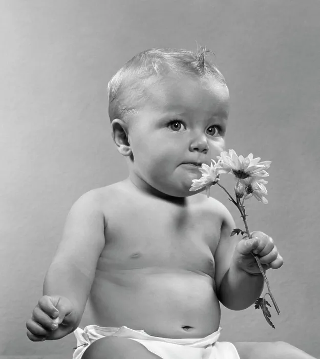 Framed Print : 1950S Baby Sitting Full Figure Holding Smell Smelling Flowers Daisy Aroma Odor Fragrance Sniff Whiff Diaper