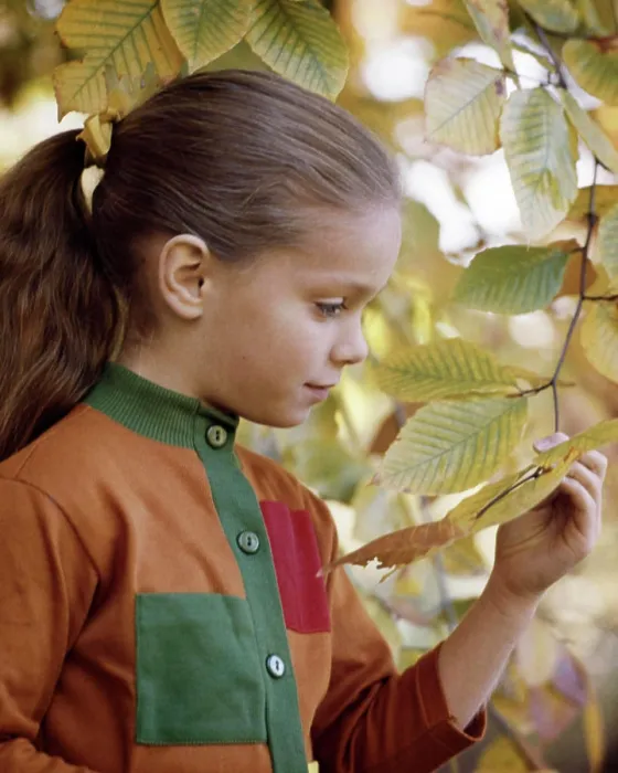 Framed Print : 1960s GIRL WITH PONY TAIL ORANGE SHIRT GREEN POCKET LOOKING AT AUTUMN LEAF