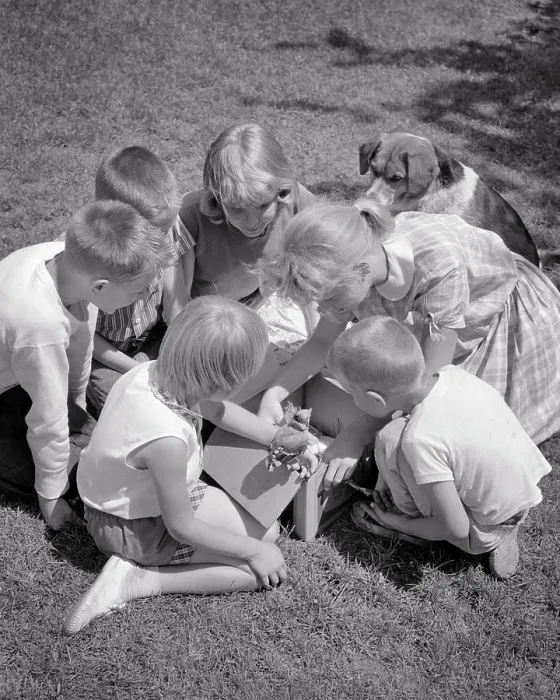 Framed Print : 1960s GROUP OF CHILDREN AND A DOG HELPING AN INJURED BIRD Framed Print : 1960s GROUP OF CHILDREN AND A DOG HELPING AN INJURED BIRD