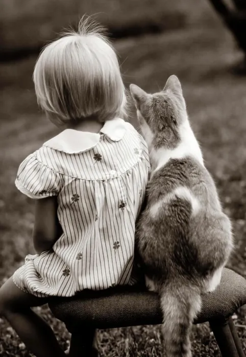 Framed Print : 1980S Rear View Of Little Girl & Cat Sitting Outside On Stool Framed Print : 1980S Rear View Of Little Girl & Cat Sitting Outside On Stool