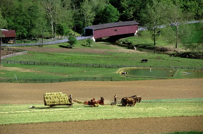 Framed Print : 1990s HORSE DRAWN AMISH HAY BAILER AND WAGON WORKING IN FIELD NEAR COVERED BRIDGE LANCASTER COUNTY PENNSYLVANIA USA