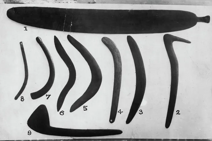 Framed Print : Aboriginal Weapons - Boomerangs Framed Print : Aboriginal Weapons - Boomerangs