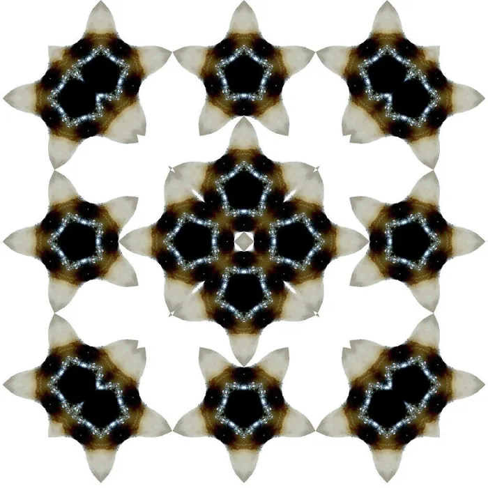Framed Print : An abstract pattern made by taking a photo of a human tooth and applying fractal mirroring Framed Print : An abstract pattern made by taking a photo of a human tooth and applying fractal mirroring