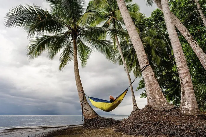 Framed Print : Adult relaxing in hammock at beach in Costa Rica Framed Print : Adult relaxing in hammock at beach in Costa Rica