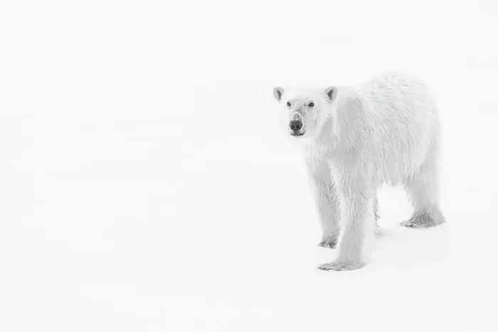 Framed Print : Adventure Travel Arctic Arctic Ocean Black & White Framed Print : Adventure Travel Arctic Arctic Ocean Black & White