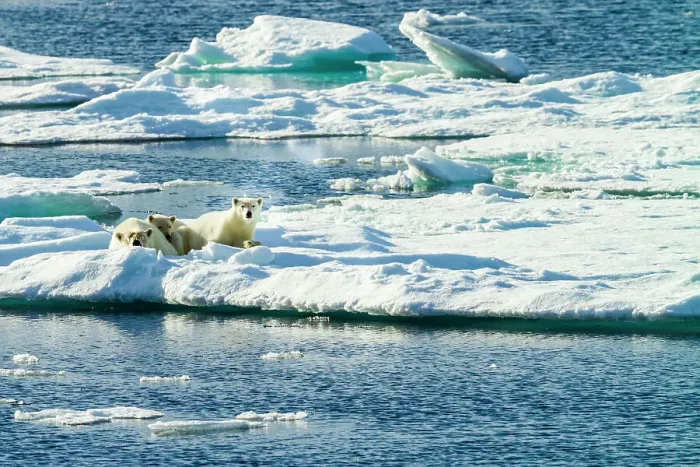Framed Print : Adventure Travel Arctic Arctic Ocean Climate Change
