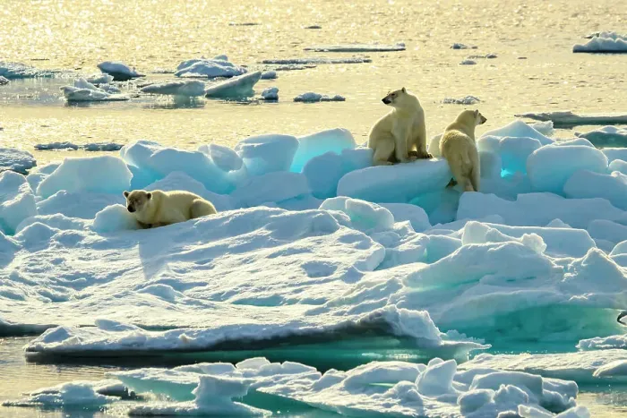 Framed Print : Adventure Travel Arctic Arctic Ocean Climate Change