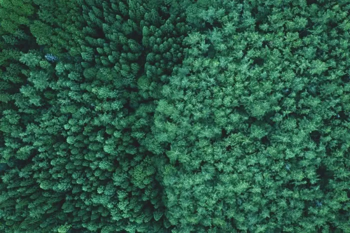 Framed Print : Aerial image of forest in Japan Framed Print : Aerial image of forest in Japan
