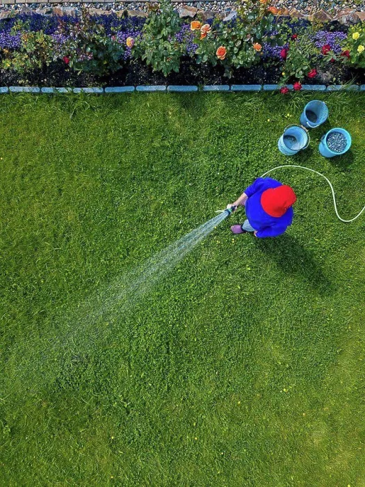 Framed Print : Aerial view of adult woman watering grass in backyard
