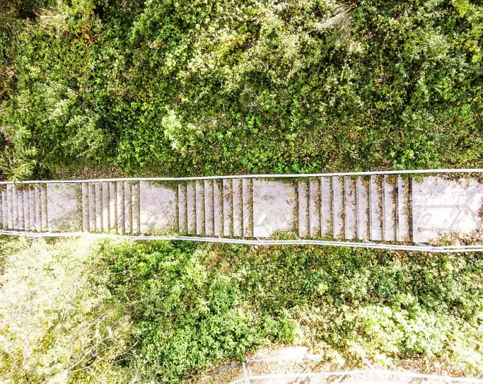 Framed Print : Aerial view of concrete stairs with fallen leaves in park Framed Print : Aerial view of concrete stairs with fallen leaves in park