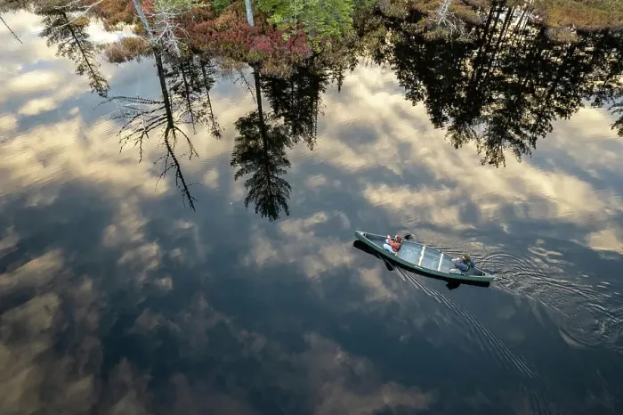 Framed Print : aerial view of couple navigating canoe across swamp in Maine woods
