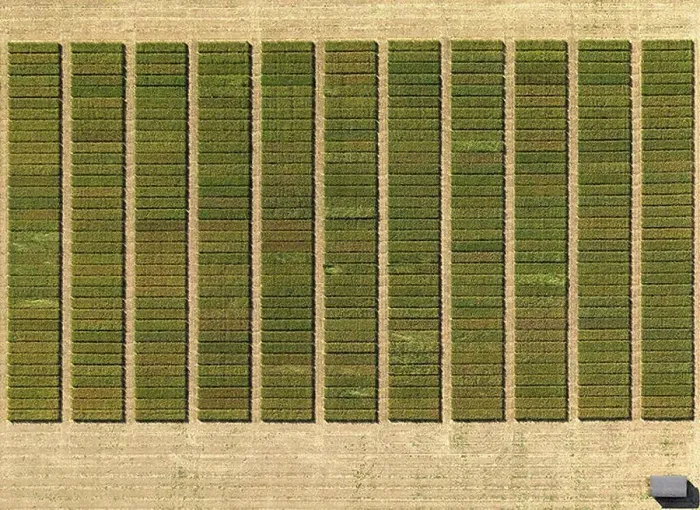 Framed Print : Aerial view of crops in agricultural landscape, Hohenheim, Stuttgart, Baden-Wuerttemberg, Germany