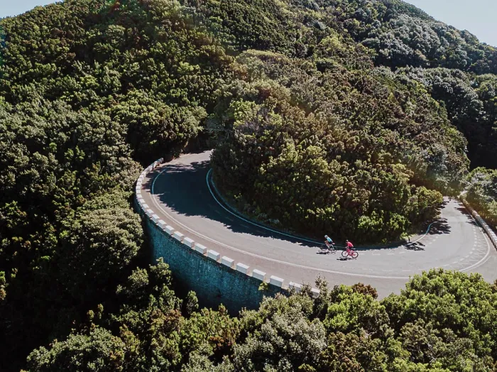 Framed Print : Aerial view of two cyclists on road bend in rain forest on sunny day