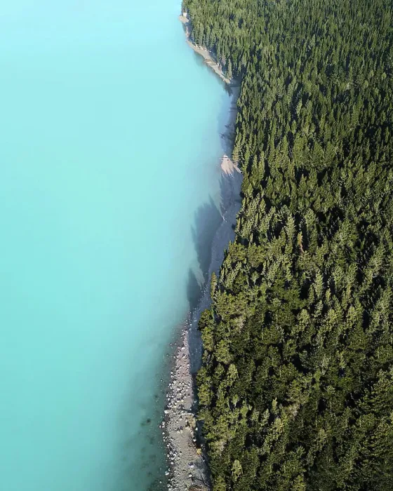 Framed Print : Aerial view of evergreen trees and glacial water at the edge of Lake Pukaki Framed Print : Aerial view of evergreen trees and glacial water at the edge of Lake Pukaki