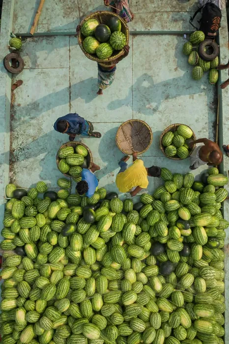 Framed Print : Aerial view of farmer working together onboard of a wooden boat unloading watermelons along Buriganga river in Dhaka