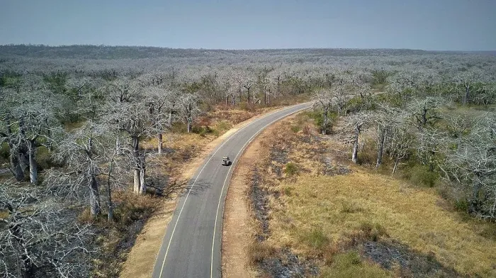 Framed Print : Aerial view of a jeep on a road surrounded by baobab trees, Cabo Ledo area, Angola