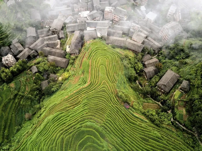 Framed Print : Aerial view on Longsheng rice terraces, also knows as dragon's backbone due to their shape, Guangxi, China, Asia Framed Print : Aerial view on Longsheng rice terraces, also knows as dragon's backbone due to their shape, Guangxi, China, Asia
