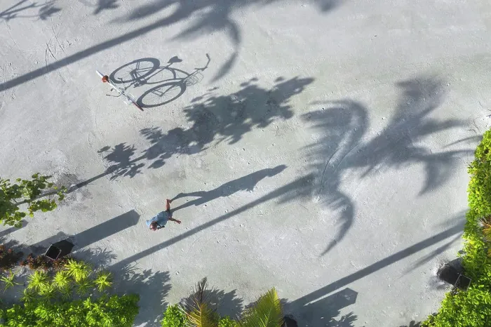 Framed Print : Aerial view of man with bicycle under palm trees Framed Print : Aerial view of man with bicycle under palm trees