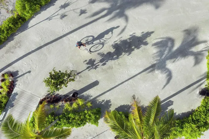 Framed Print : Aerial view of man with bicycle under palm trees Framed Print : Aerial view of man with bicycle under palm trees