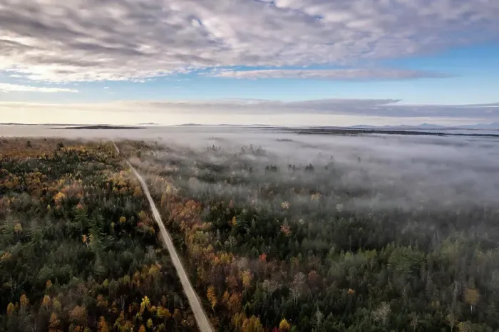 Framed Print : aerial view of misty woods and dirt road in the autumn, Maine Framed Print : aerial view of misty woods and dirt road in the autumn, Maine