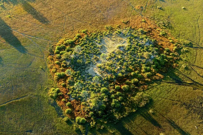 Framed Print : Aerial view of Okavango Delta. Botswana Framed Print : Aerial view of Okavango Delta. Botswana