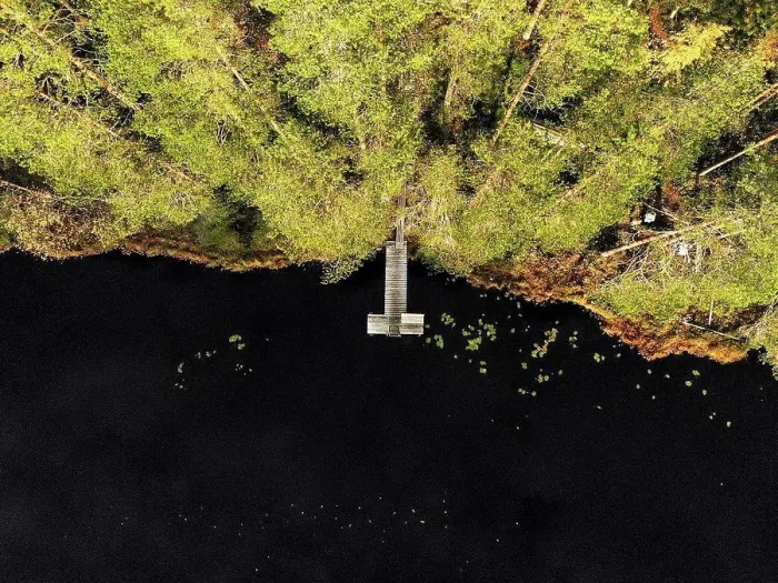 Framed Print : Aerial view of pier over lake in forest during sunny day Framed Print : Aerial view of pier over lake in forest during sunny day