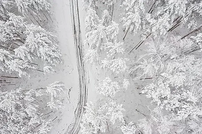 Framed Print : Aerial view on the road and forest at the winter time. Snowy forest, natural winter landscape