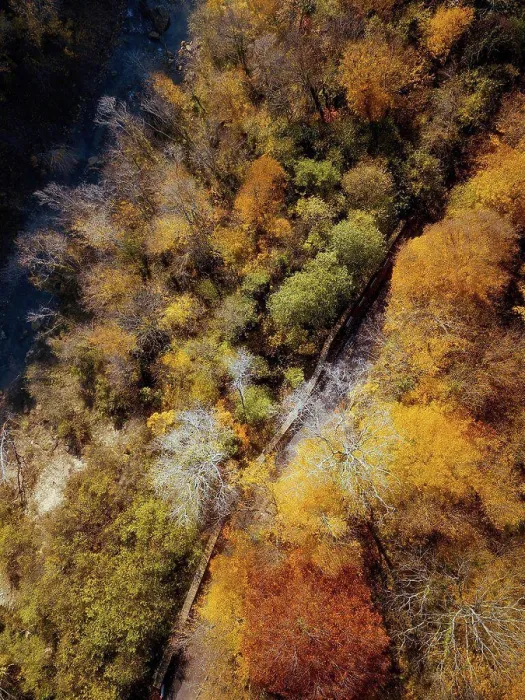 Framed Print : Aerial view of road stretching through autumn forest Framed Print : Aerial view of road stretching through autumn forest