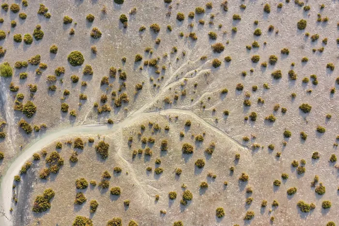 Framed Print : Aerial view of sand with vegetation Abu Dhabi, United Arab Emirates
