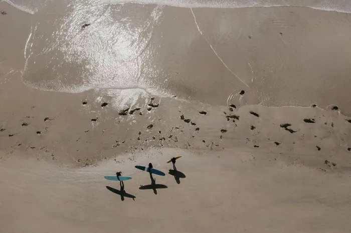 Framed Print : Aerial view of surfers on the beach Framed Print : Aerial view of surfers on the beach