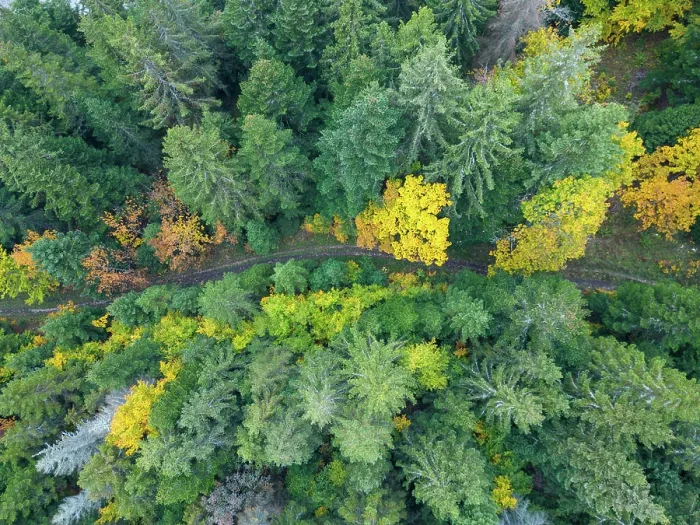 Framed Print : Aerial view of the Swiss Jura forests in autumn Framed Print : Aerial view of the Swiss Jura forests in autumn