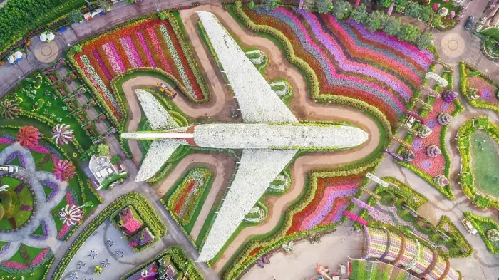 Framed Print : Aerial view of The unusual colorful Dubai Miracle Garden, United Arab Emirates