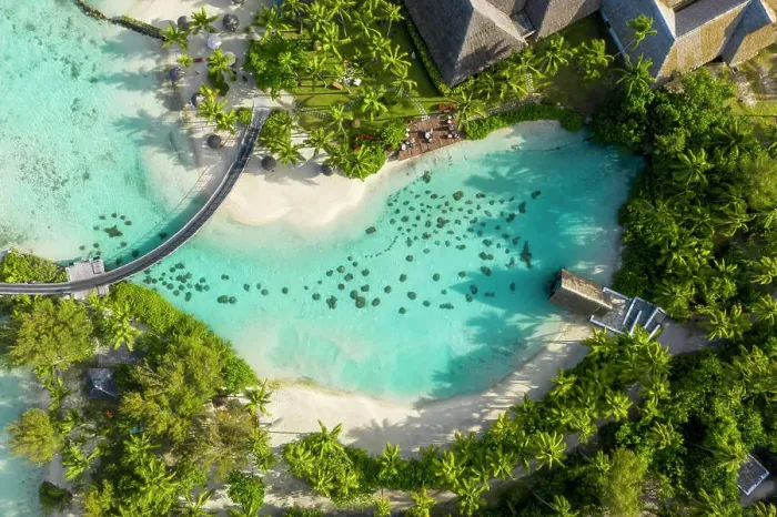 Framed Print : Aerial view of wooden huts from a luxury hotel along the reef in Tahiti, French Polynesia Framed Print : Aerial view of wooden huts from a luxury hotel along the reef in Tahiti, French Polynesia
