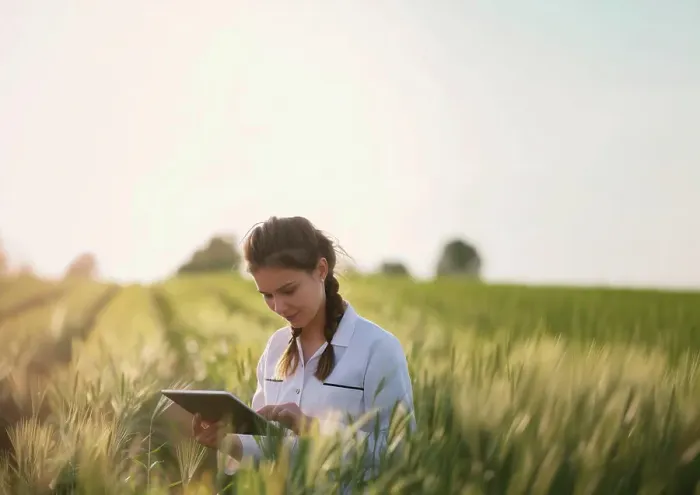 Framed Print : Agronomist with digital tablet examining wheat field Framed Print : Agronomist with digital tablet examining wheat field