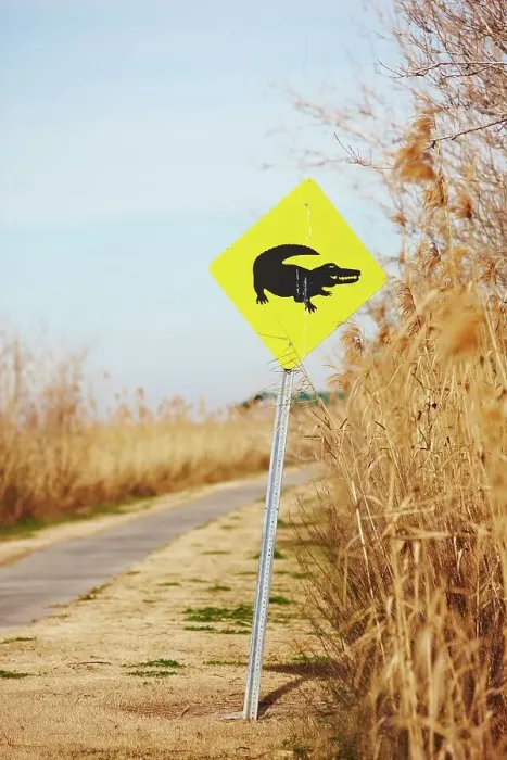 Framed Print : Alligator Crossing sign, Sabine National Wildlife Refuge