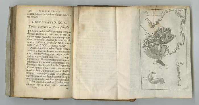 Framed Print : Anatomy, book and medical drawing on paper in antique
